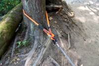 10' MACGYVER RIGGING LINE | TREE SAVER | WINCH EXTENSION - Image 3