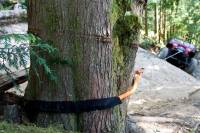 10' MACGYVER RIGGING LINE | TREE SAVER | WINCH EXTENSION - Image 4