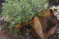 10' MACGYVER RIGGING LINE | TREE SAVER | WINCH EXTENSION - Image 5