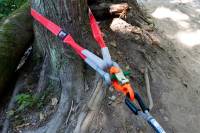 2" X 10' TREE SAVER STRAP - Image 3