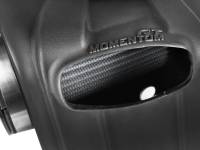 MOMENTUM GT PRO DRY S COLD AIR INTAKE SYSTEM - Image 3