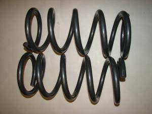 Armada 2" Rear Lowering Coils - Image 1