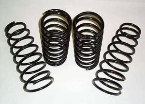 4X4 Parts - 4x4 Parts Pathfinder Lowering Coils - Image 2
