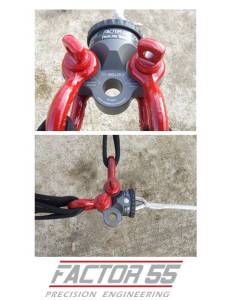 PROLINK BRIDLE - Image 4