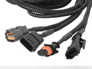 SCORCHER HD Module - Image 3