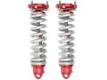 Suspension - Shocks & Struts - RaceRunner